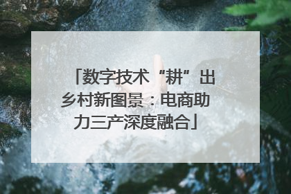数字技术“耕”出乡村新图景：电商助力三产深度融合