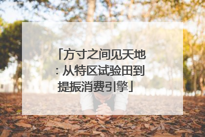 方寸之间见天地：从特区试验田到提振消费引擎