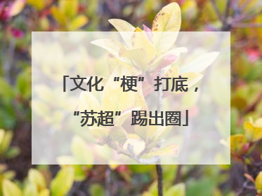 文化“梗”打底，“苏超”踢出圈