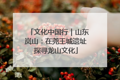 文化中国行｜山东岚山：在尧王城遗址探寻龙山文化