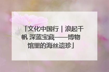 文化中国行｜浪起千帆 深蓝宝藏——博物馆里的海丝遗珍