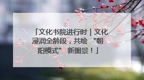 文化书院进行时｜文化浸润全龄段，共绘 “朝阳模式” 新图景！