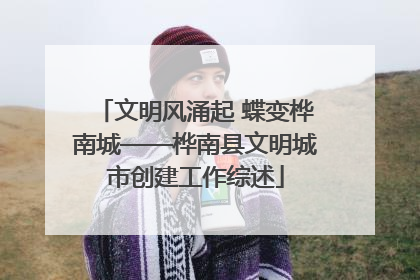 文明风涌起 蝶变桦南城——桦南县文明城市创建工作综述