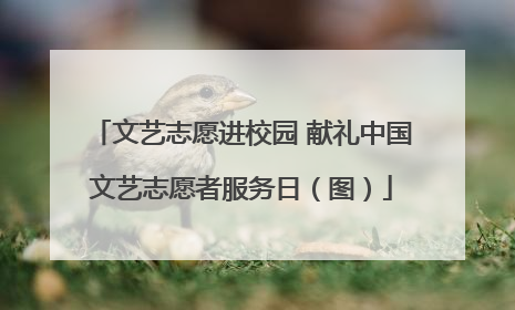 文艺志愿进校园 献礼中国文艺志愿者服务日（图）