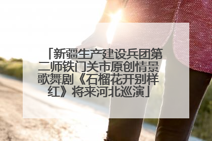 新疆生产建设兵团第二师铁门关市原创情景歌舞剧《石榴花开别样红》将来河北巡演