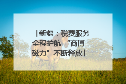 新疆：税费服务全程护航 “商博磁力”不断释放