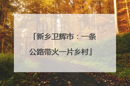 新乡卫辉市：一条公路带火一片乡村