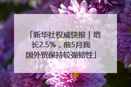 新华社权威快报｜增长2.5%，前5月我国外贸保持较强韧性