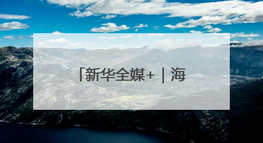新华全媒+｜海南自贸港：政策创新赋能产业发展