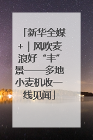 新华全媒+｜风吹麦浪好“丰”景——多地小麦机收一线见闻