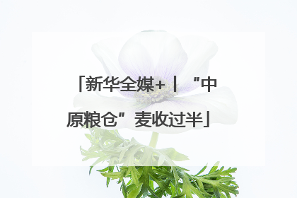 新华全媒+丨“中原粮仓”麦收过半