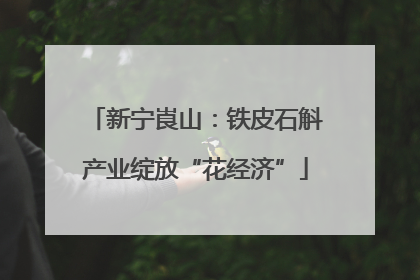 新宁崀山：铁皮石斛产业绽放“花经济”