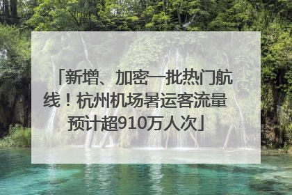 新增、加密一批热门航线！杭州机场暑运客流量预计超910万人次