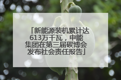 新能源装机累计达613万千瓦，申能集团在第三届碳博会发布社会责任报告