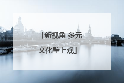 新视角 多元文化壁上观