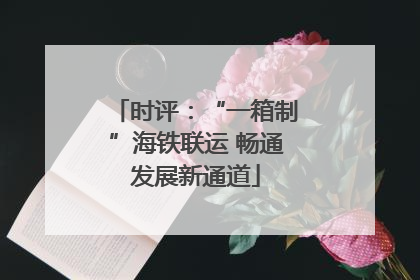 时评：“一箱制”海铁联运 畅通发展新通道