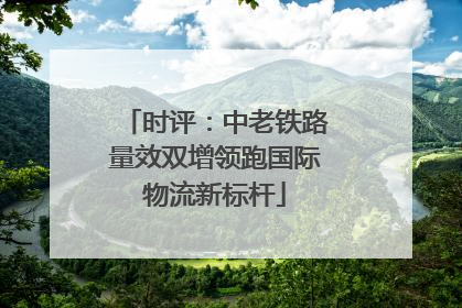 时评：中老铁路量效双增领跑国际物流新标杆