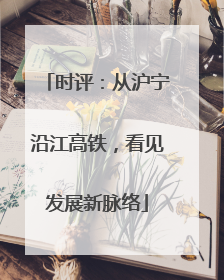 时评：从沪宁沿江高铁，看见发展新脉络