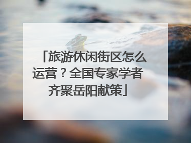 旅游休闲街区怎么运营？全国专家学者齐聚岳阳献策