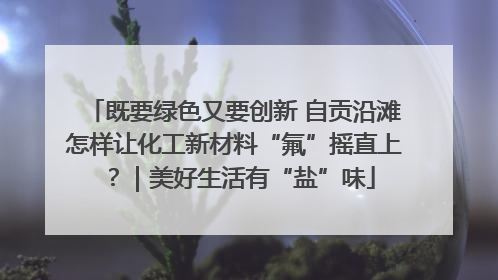 既要绿色又要创新 自贡沿滩怎样让化工新材料“氟”摇直上？｜美好生活有“盐”味