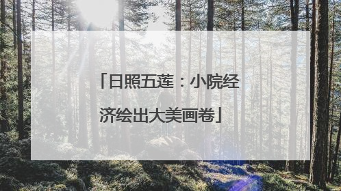 日照五莲：小院经济绘出大美画卷