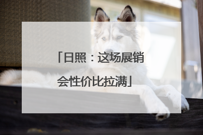 日照：这场展销会性价比拉满
