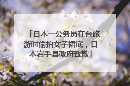 日本一公务员在台旅游时偷拍女子裙底，日本岩手县政府致歉