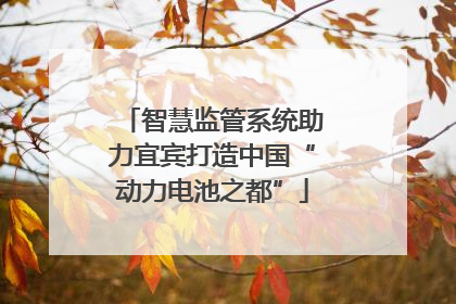 智慧监管系统助力宜宾打造中国“动力电池之都”
