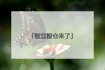 智慧粮仓来了