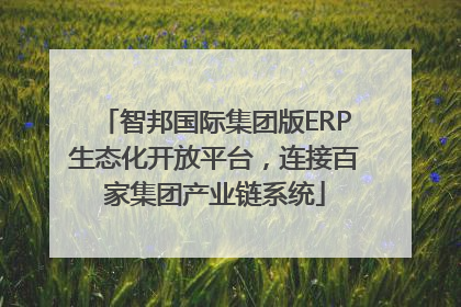 智邦国际集团版ERP生态化开放平台，连接百家集团产业链系统