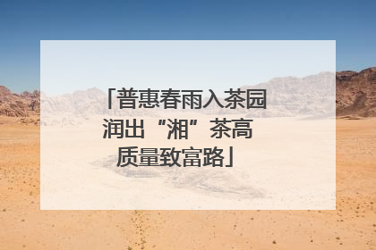 普惠春雨入茶园 润出“湘”茶高质量致富路