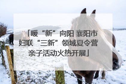 暖“新”向阳 襄阳市妇联“三新”领域夏令营亲子活动火热开展