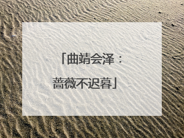 曲靖会泽：蔷薇不迟暮