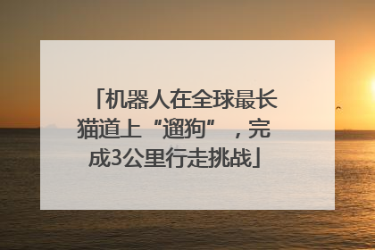 机器人在全球最长猫道上“遛狗”，完成3公里行走挑战