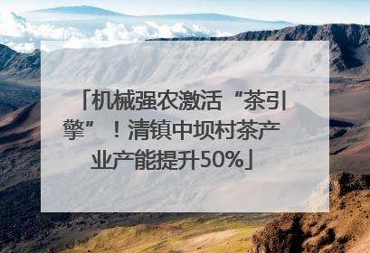 机械强农激活“茶引擎”！清镇中坝村茶产业产能提升50%