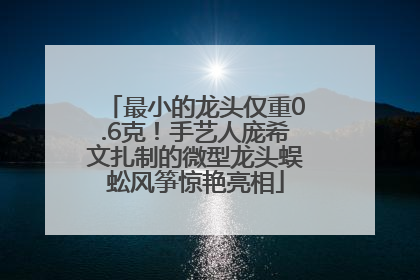 最小的龙头仅重0.6克！手艺人庞希文扎制的微型龙头蜈蚣风筝惊艳亮相