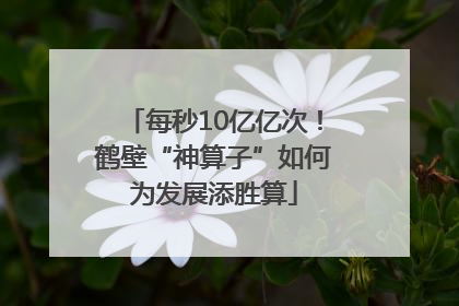 每秒10亿亿次！鹤壁“神算子”如何为发展添胜算