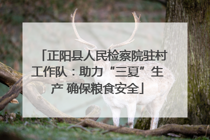 正阳县人民检察院驻村工作队：助力“三夏”生产 确保粮食安全