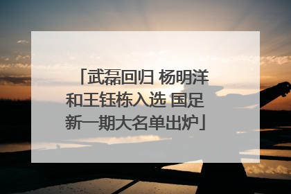 武磊回归 杨明洋和王钰栋入选 国足新一期大名单出炉