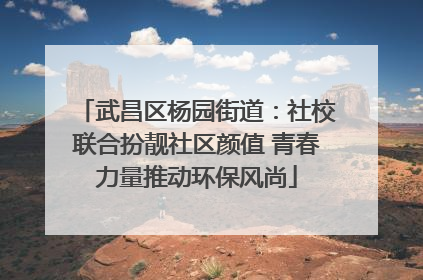 武昌区杨园街道：社校联合扮靓社区颜值 青春力量推动环保风尚
