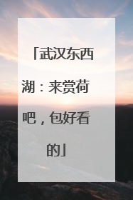 武汉东西湖：来赏荷吧，包好看的