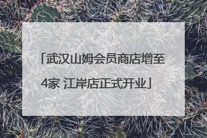 武汉山姆会员商店增至4家 江岸店正式开业