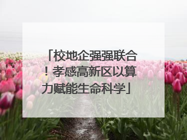 校地企强强联合！孝感高新区以算力赋能生命科学