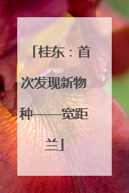 桂东：首次发现新物种——宽距兰