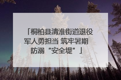 桐柏县清淮街道退役军人勇担当 筑牢暑期防溺“安全堤”