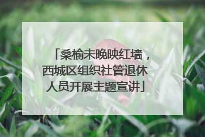 桑榆未晚映红墙，西城区组织社管退休人员开展主题宣讲