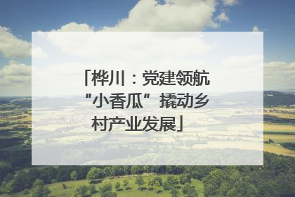 桦川：党建领航“小香瓜”撬动乡村产业发展