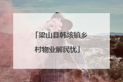 梁山县韩垓镇乡村物业解民忧