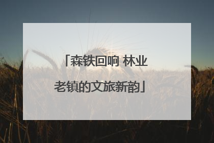 森铁回响 林业老镇的文旅新韵