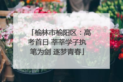 榆林市榆阳区：高考首日 莘莘学子执笔为剑 逐梦青春